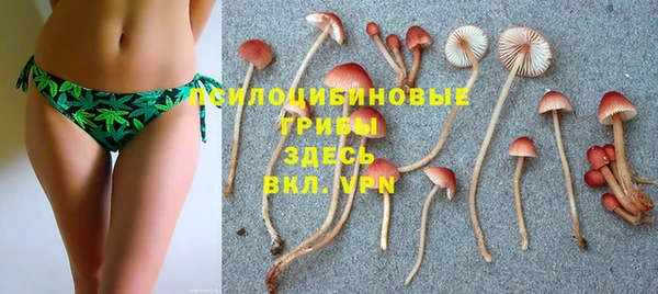 mix Козловка